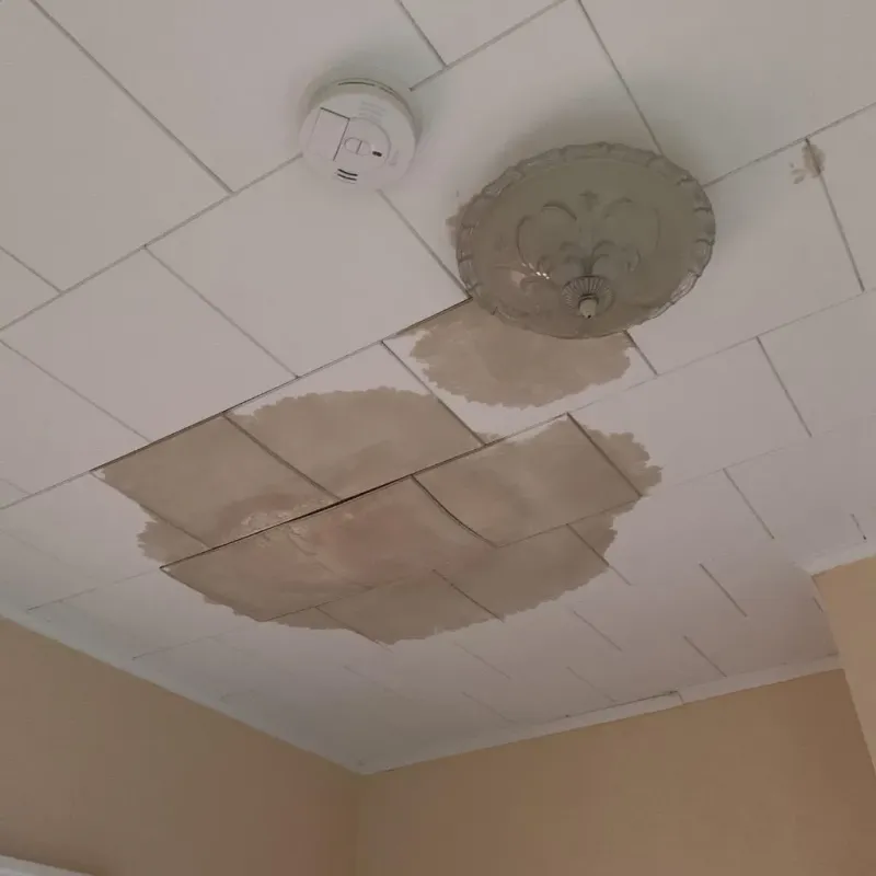 Ceiling Water Damage Repair in Franklin Center, NJ